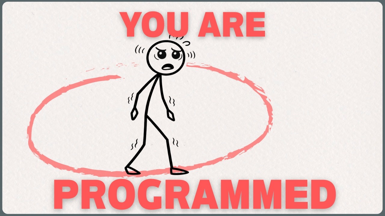 YOU ARE PROGRAMMED