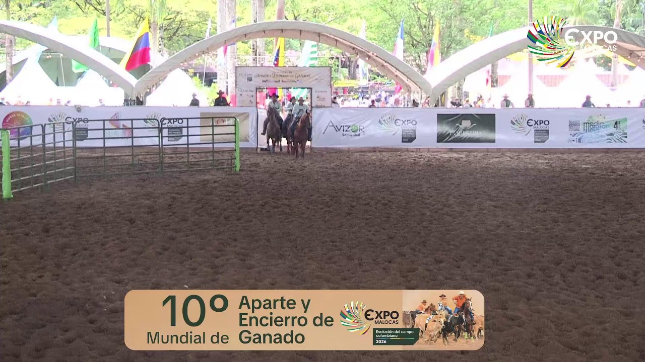 10 Mundial de Aparte y Encierro de Ganado - segundo día