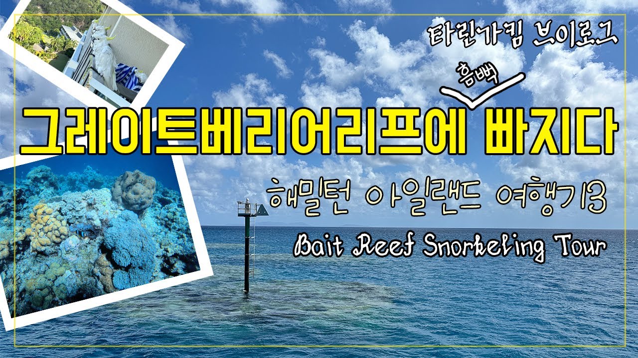 🇦🇺호주 그레이트베리어리프 스노클링 풀데이 투어 해밀턴 아일랜드 여행기 DAY3