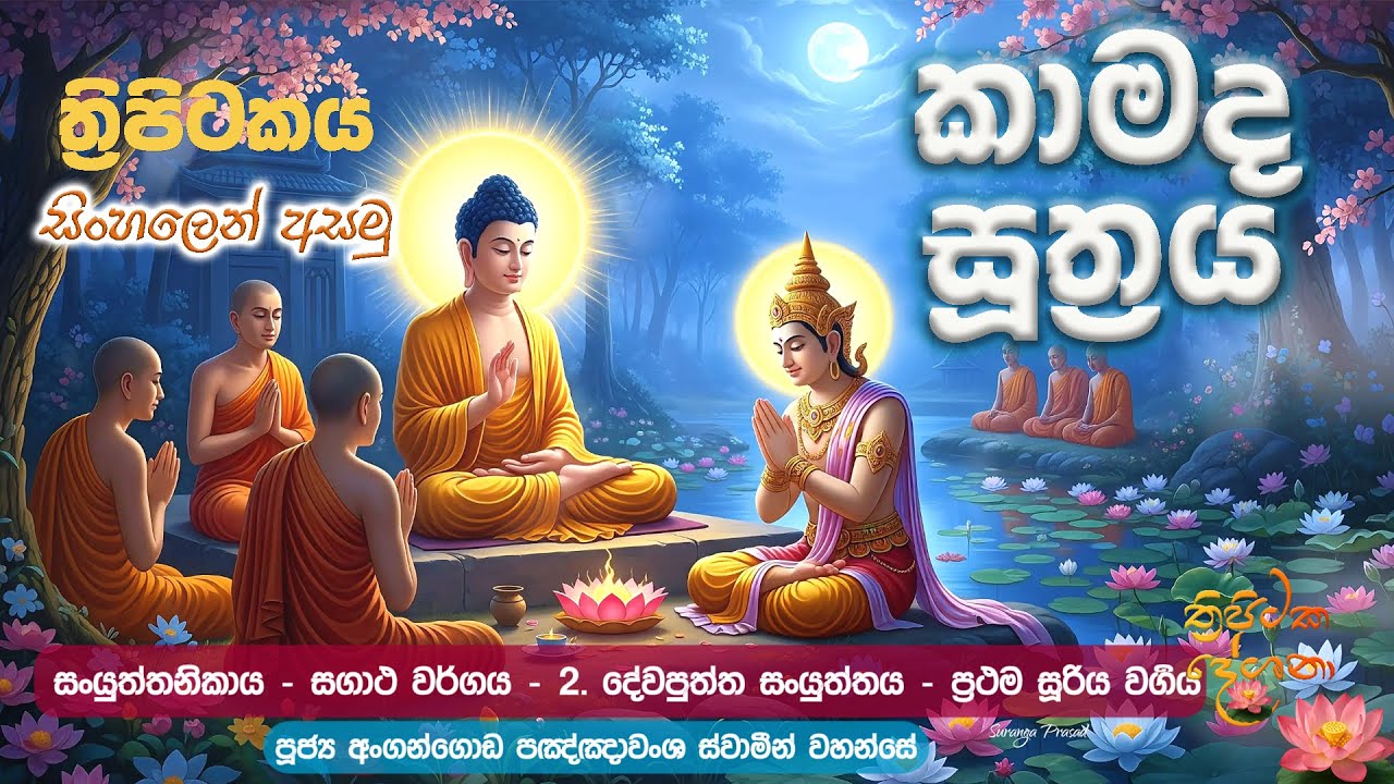 6. කාමද සූත්&zwj;රය | Kamada Sutra (සංයුත්තනිකාය - සගාථ වර්&zwj;ගය-  2 දේවපුත්ත සංයූත්තය- සූරිය වර්&zwj;ගය)