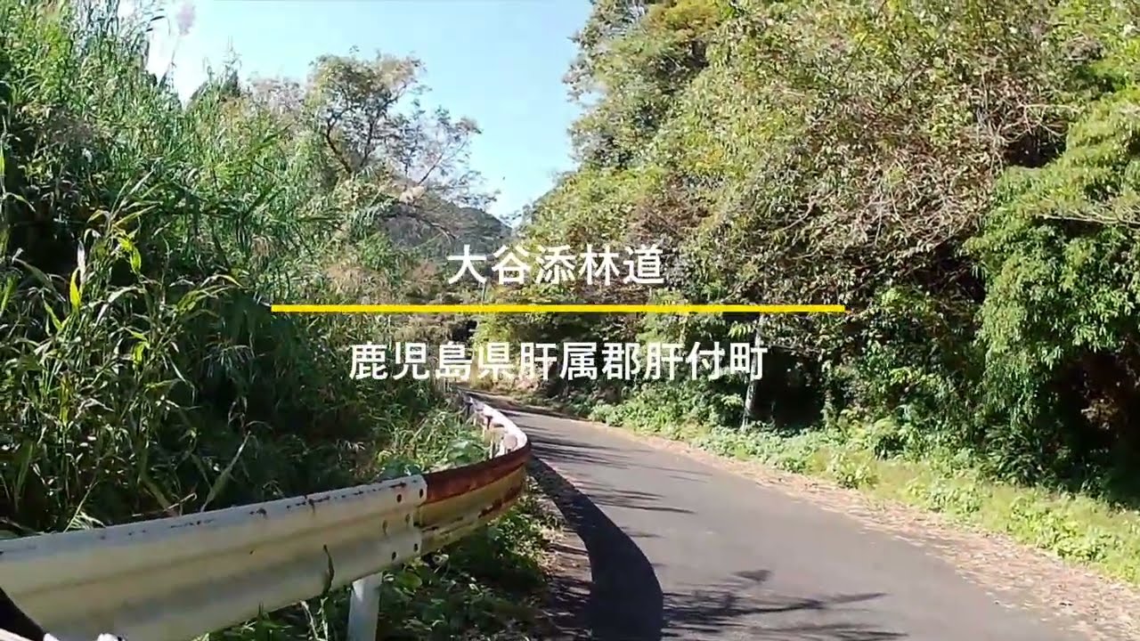 【大谷添林道 】をただ走る動画　KLX230