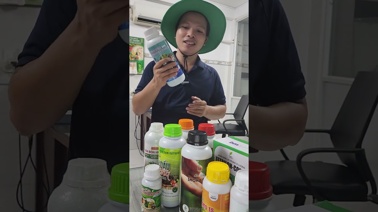 Cơ hội vàng cho nông dân sầu riêng quy trình thuận thiên