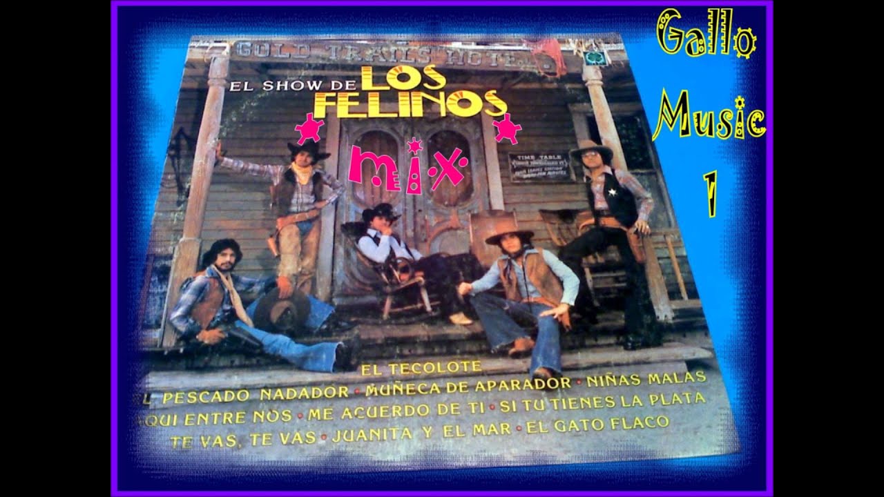 QUE BONITO  mix  ~  ★ Los Felinos ★