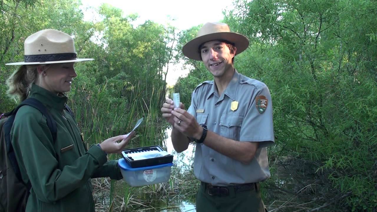 Measuring Dissolved Oxygen