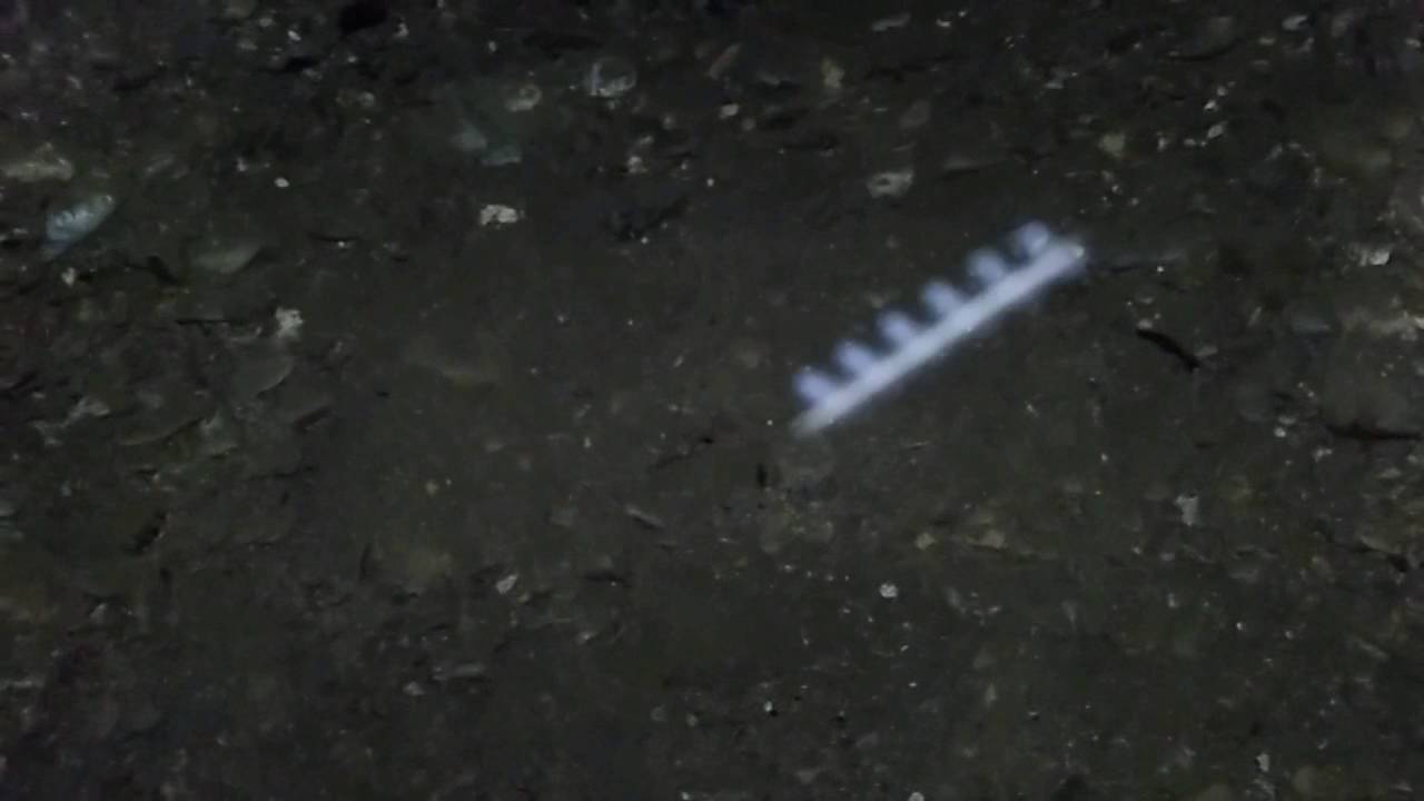 Něco v Ravne, Bosensk&eacute; &Uacute;dol&iacute; pyramid