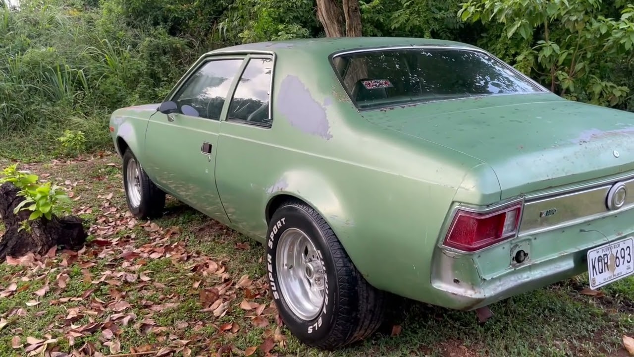 AMC 1973 hornet