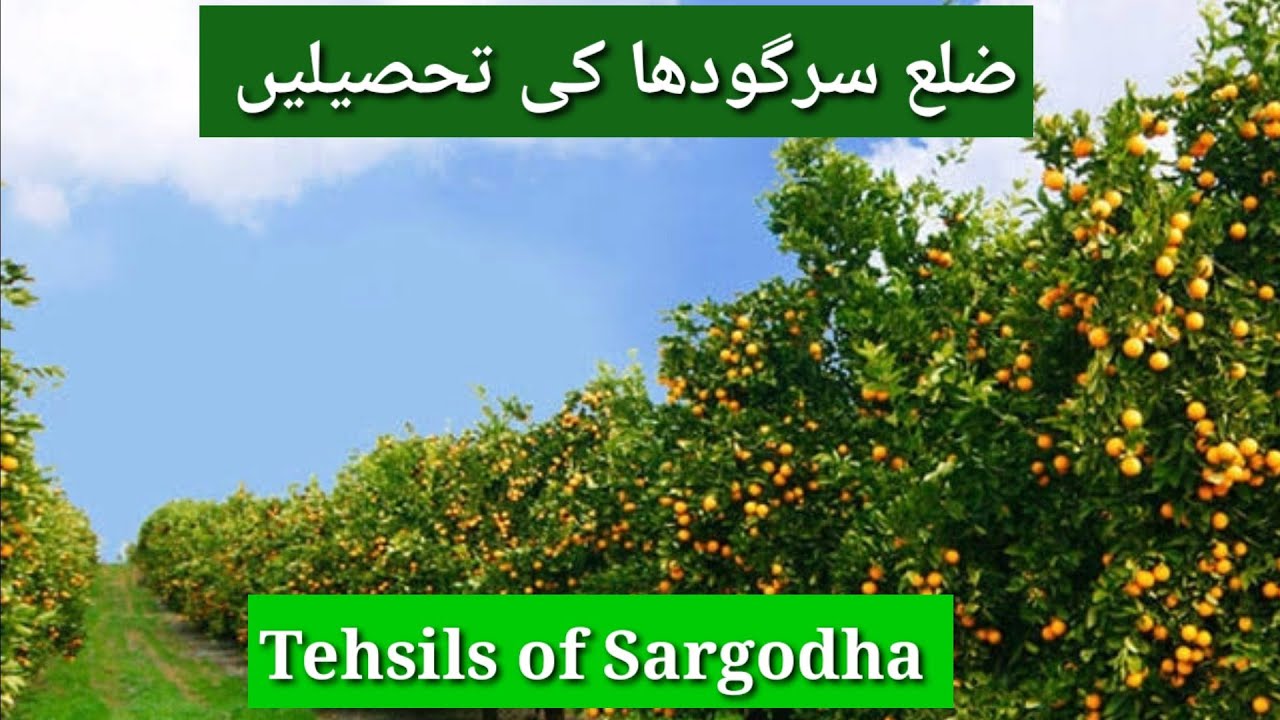 Tehsils of District Sargodha