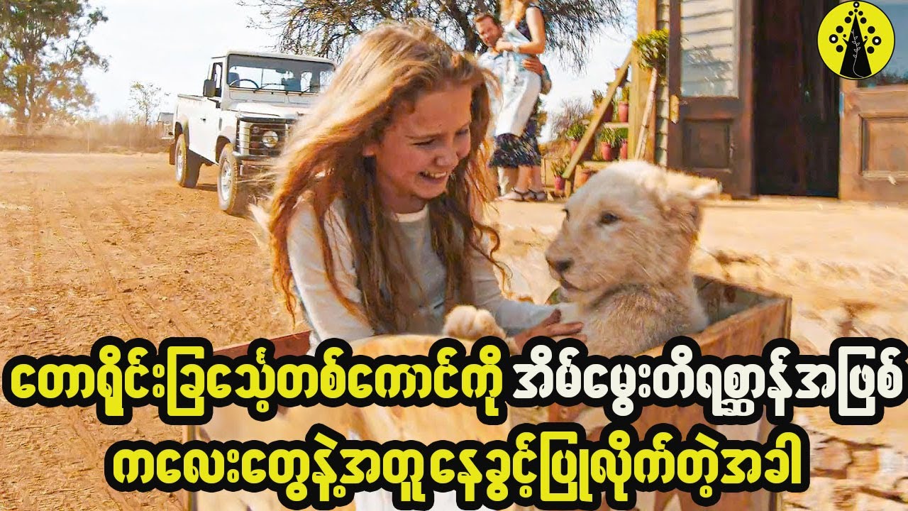 မိဘတွေက တောရိုင်းခြင်္သေ့တစ်ကောင်ကို ကလေးတွေနဲ့အတူနေခွင့်ပြုခဲ့မိလို့ မထင်မှတ်တာဖြစ်လာခဲ့တယ်။