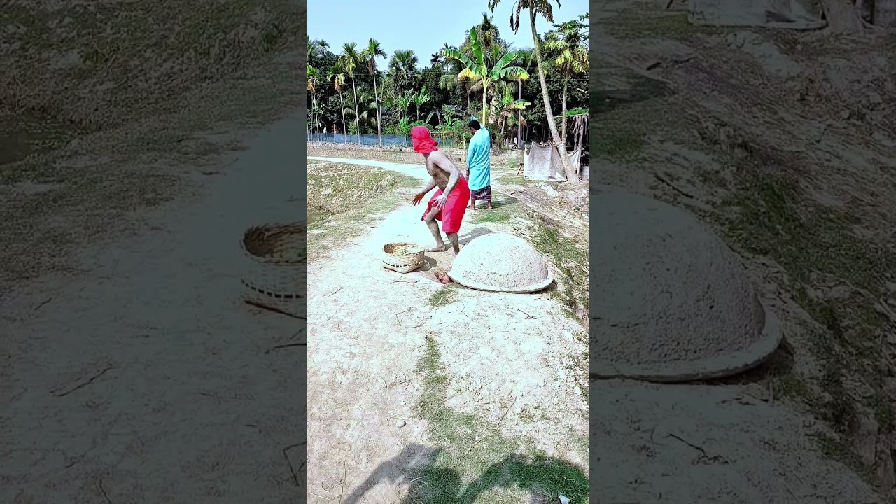#funny #viral #video