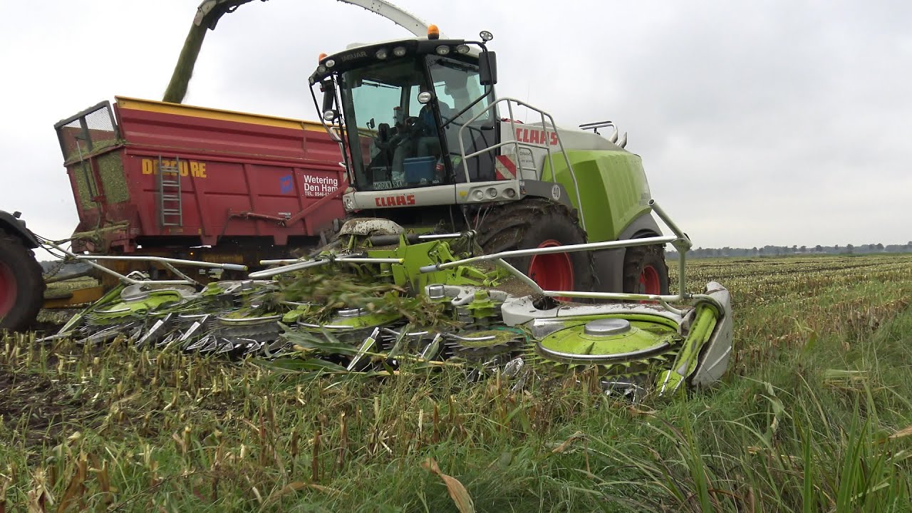 Mais hakselen & Inkuilen met Loonbedrijf Wetering Den Ham (part 2/2)
