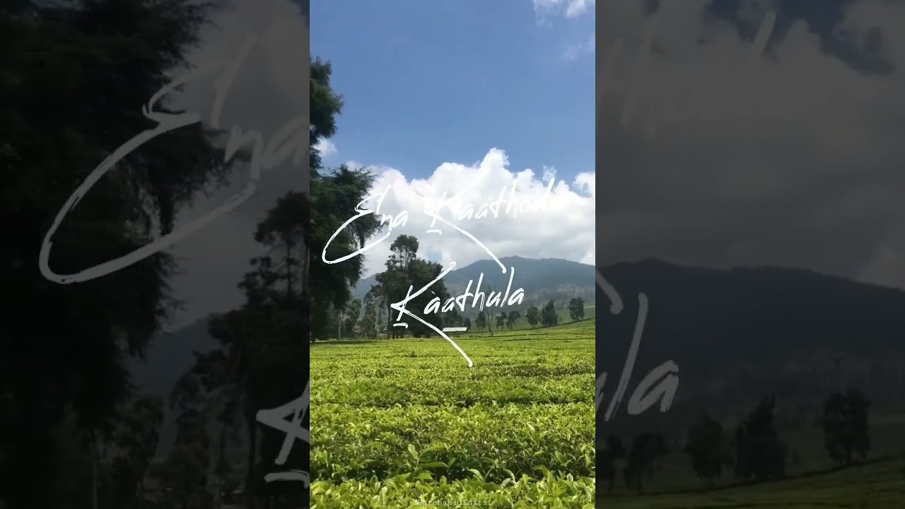 Kannala Paakura.. 👀❤️ // 
