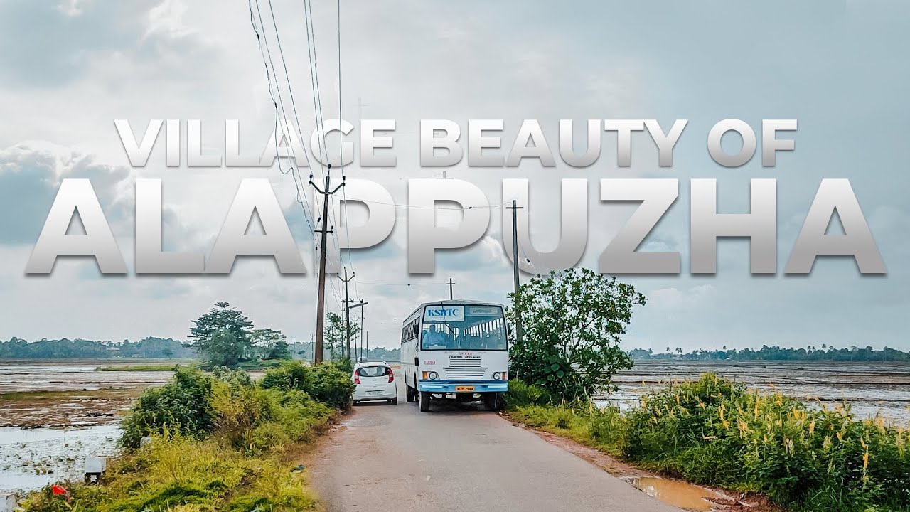 Village Beauty Of Alappuzha | Walking In Kerala Village |Tractor Ploughing Paddy Field
