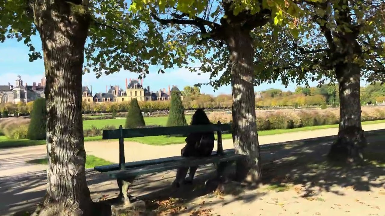 Fontainebleau Park1 枫丹白露公园1