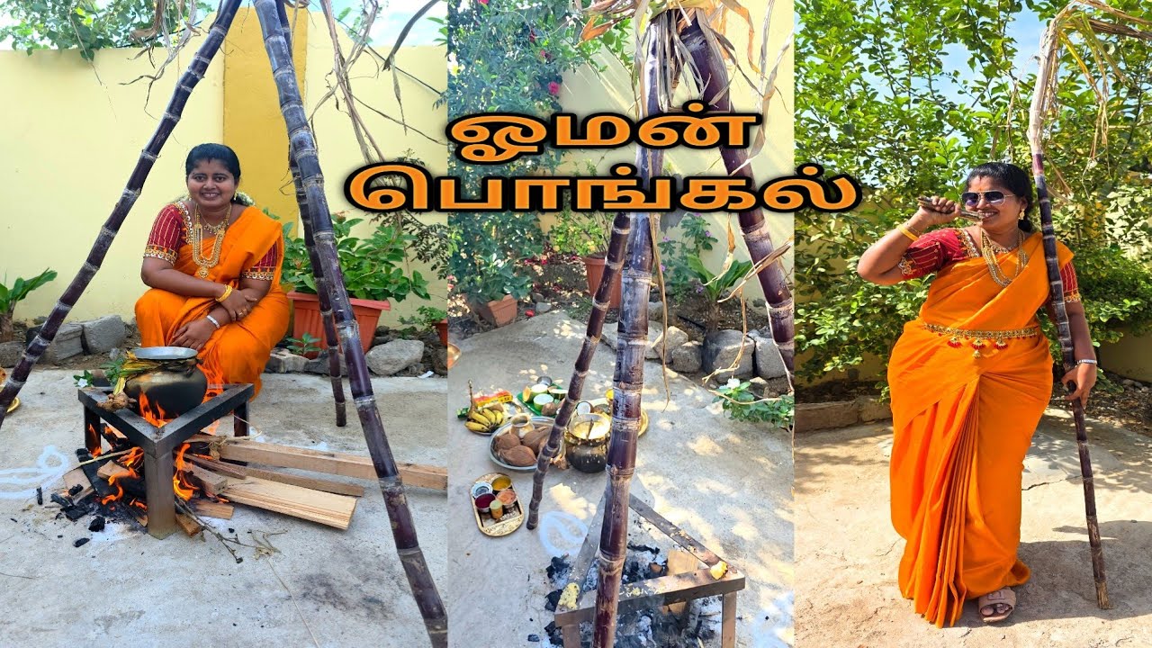 Pongal celebration in oman/ pongal vlog in tamil
