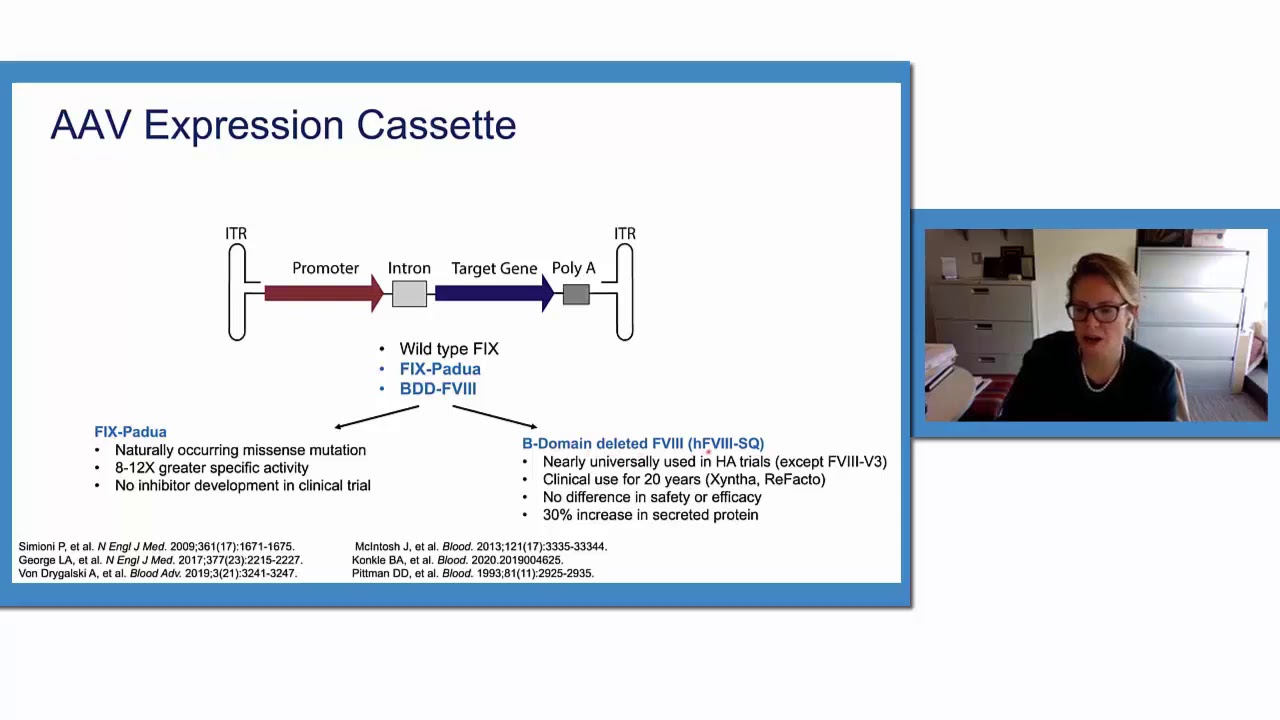 AAV Expression Cassette