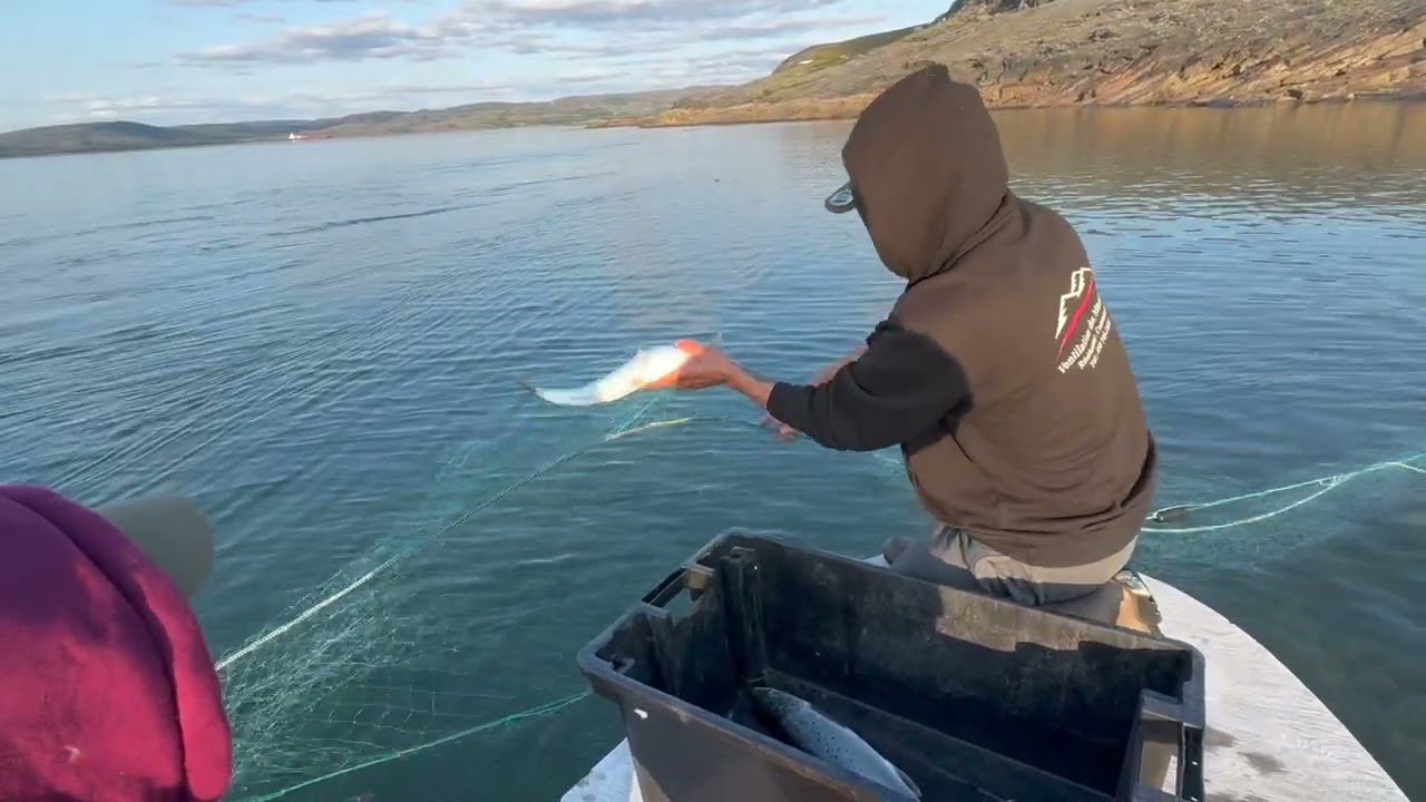 Quick fishing after work