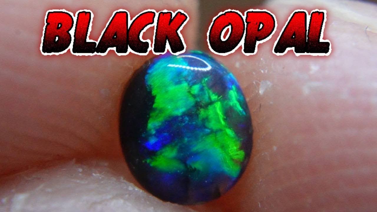 BRIGHT Black Opal comes to life!