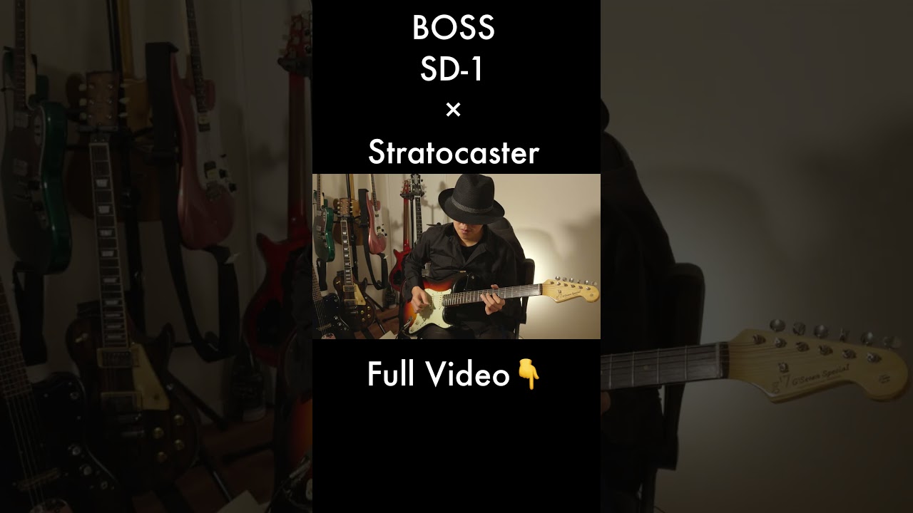 Emotional Guitar Solo with BOSS SD-1 #shorts
