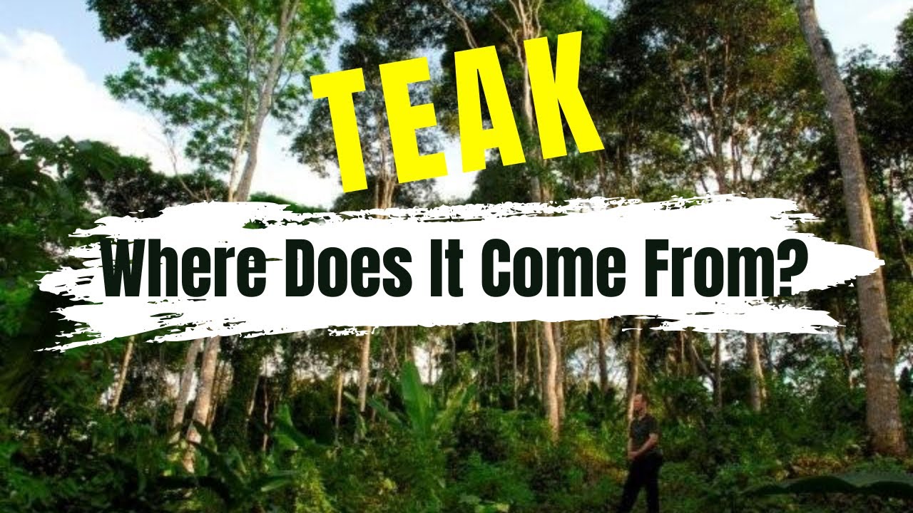 Where does your TEAK come from?