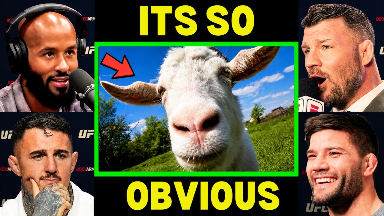 UFC Fighters 