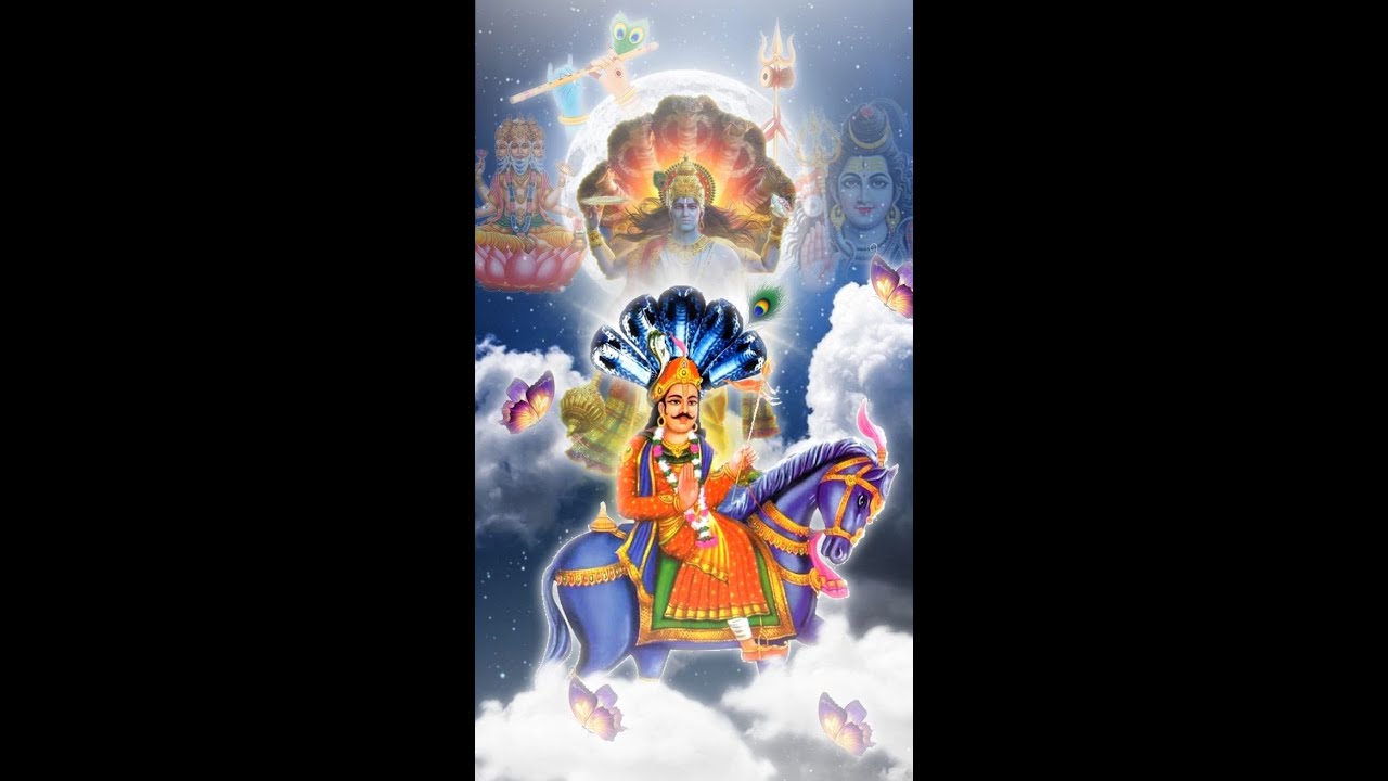 Goga Ji Morning Live Aarti