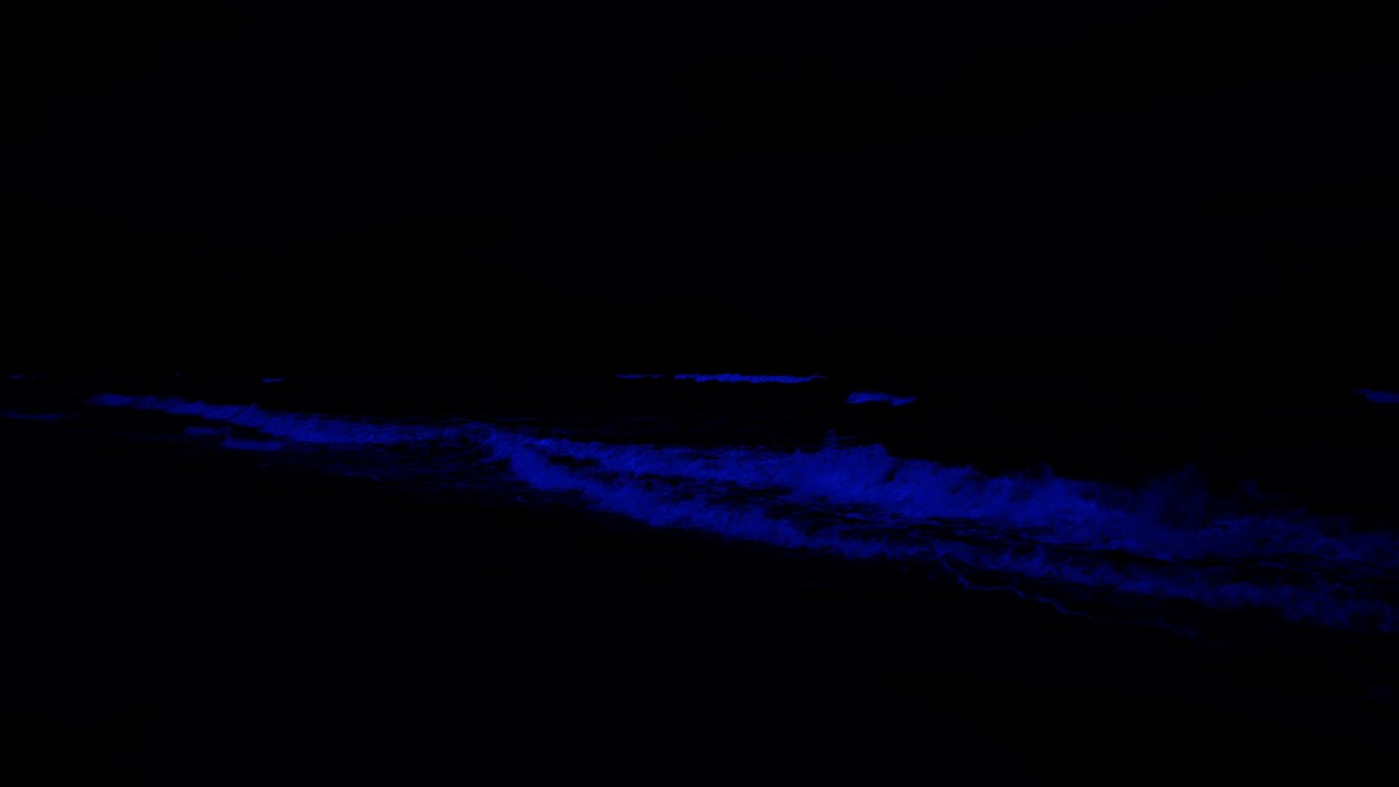 No Ads Instant Calm in 3 Minutes 🌊 Ocean Waves to Clear the Mind, Ease Anxiety & Stay Asleep Longer