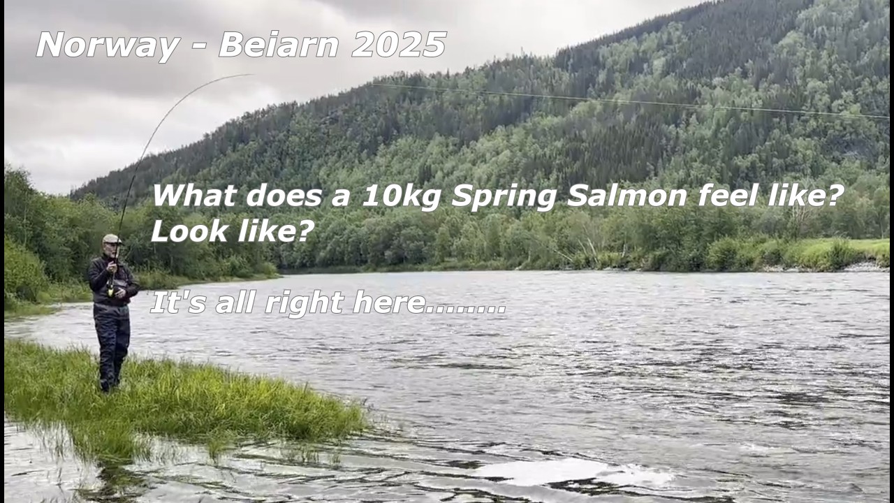 Norway Beiarn - 10kg Spring Salmon - Final #norway #salmon #fishing #fishingvideo #salmonfishing