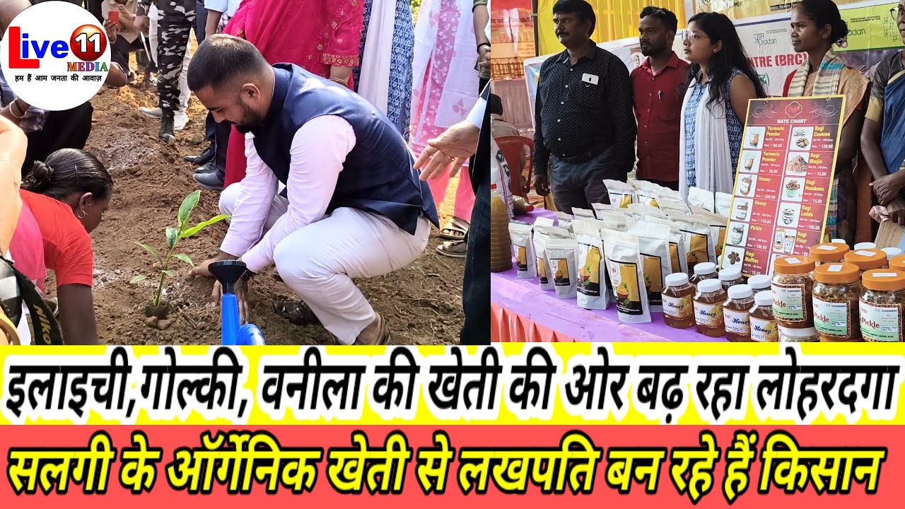Organic Village Initiative: ‘जैविक गांव’ का डीसी ने किया निरीक्षण | Organic Farming Success Story