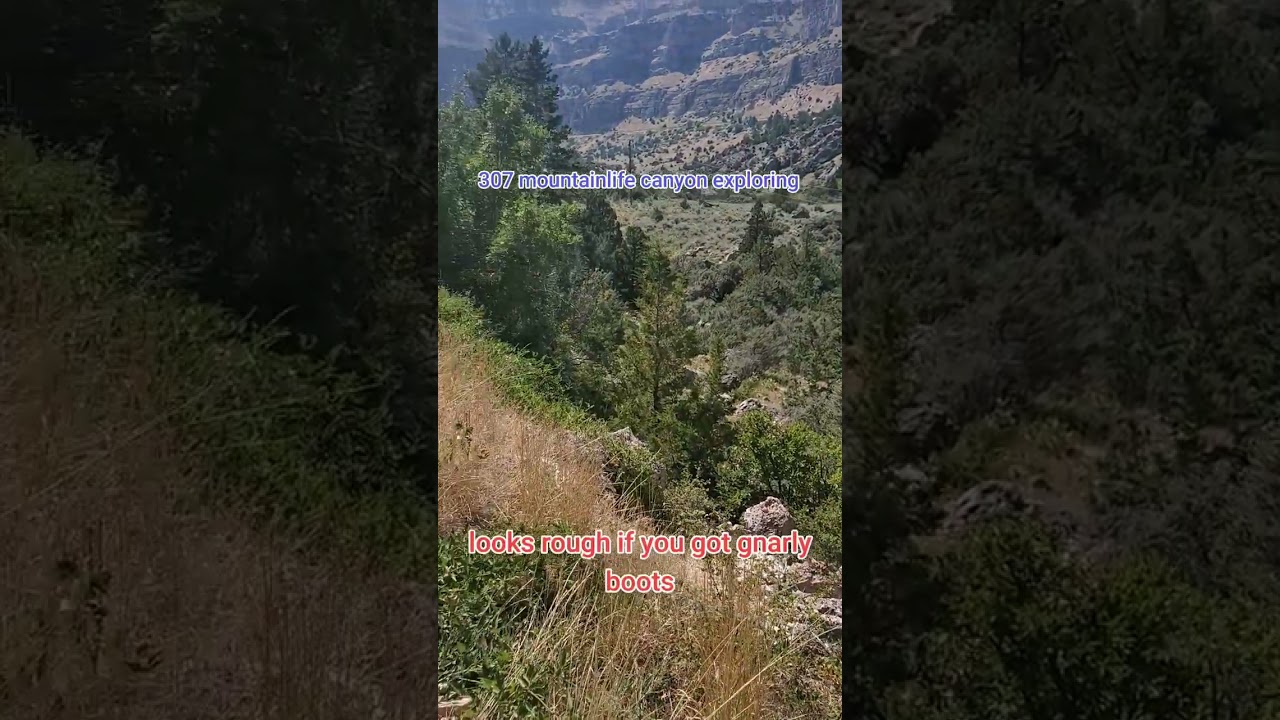 #mountainlife