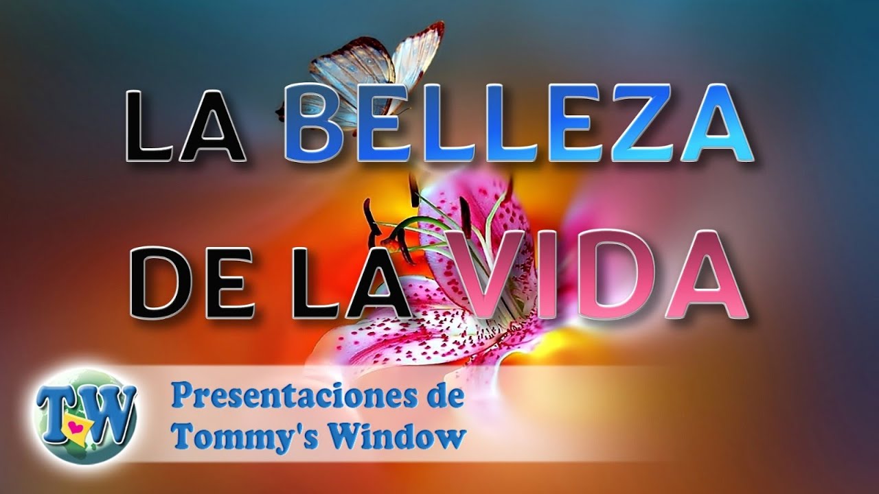 La belleza de la vida - Tommy's Window Español