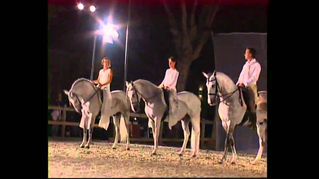 spectacle equestre pignon-delgado
