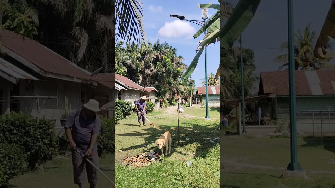 Pekerjaan rumah 