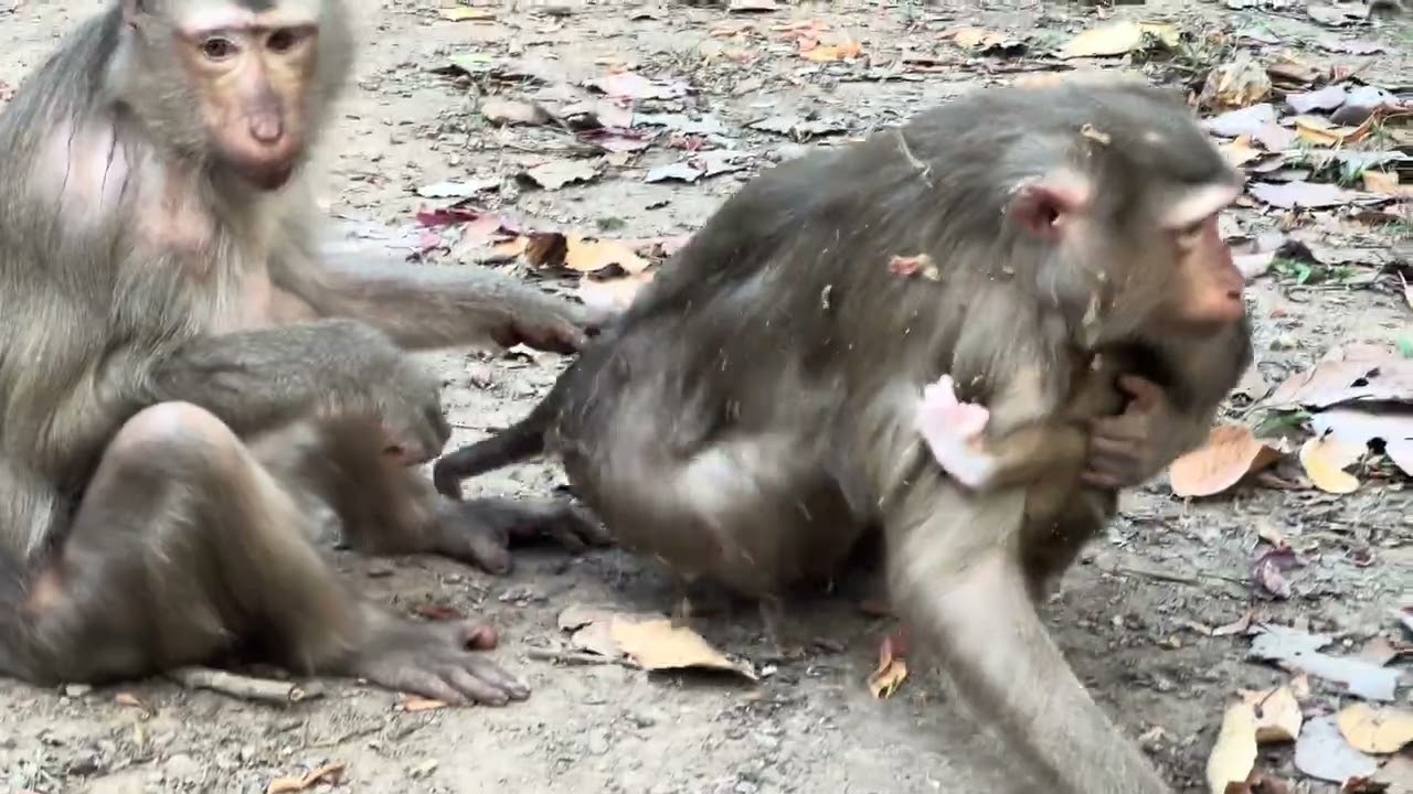 Louy with baby Lucan