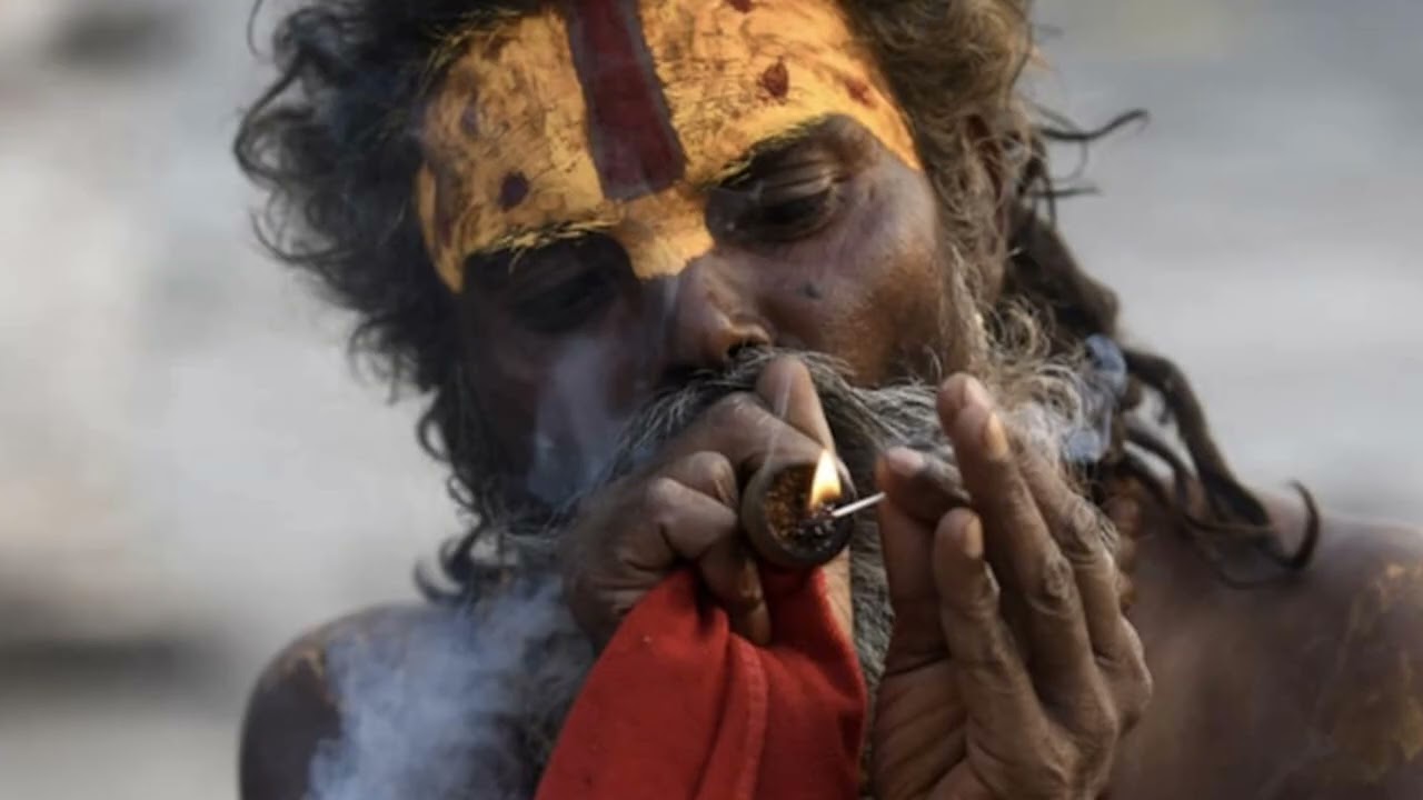 NEPALI WEED ! IS IT BEST IN THE WORLD