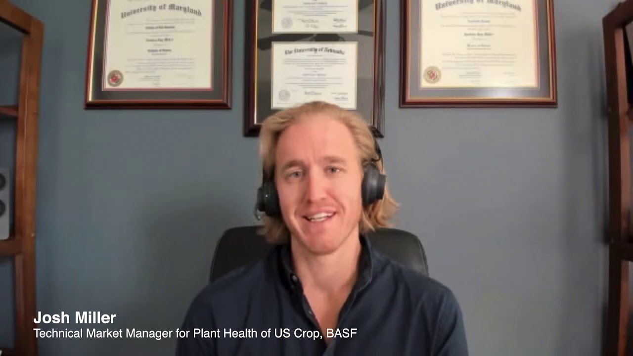 BASF Grow Smart Advantage Tool - Rebates vs. Results