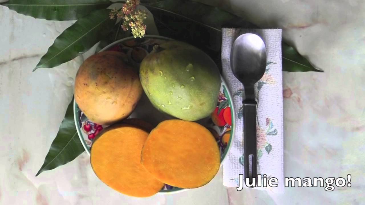 Alphabet of Trinidad &Tobago
