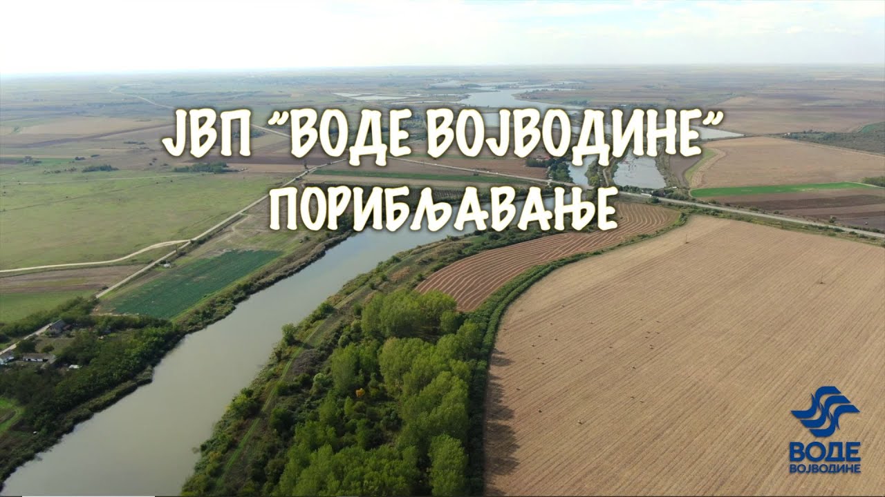 Акција порибљавања вода којима газдује ЈВП "Воде Војводине"