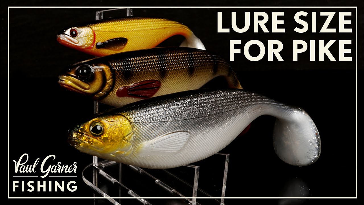 What Lure Size? : Lure Choice for Pike Fishing.