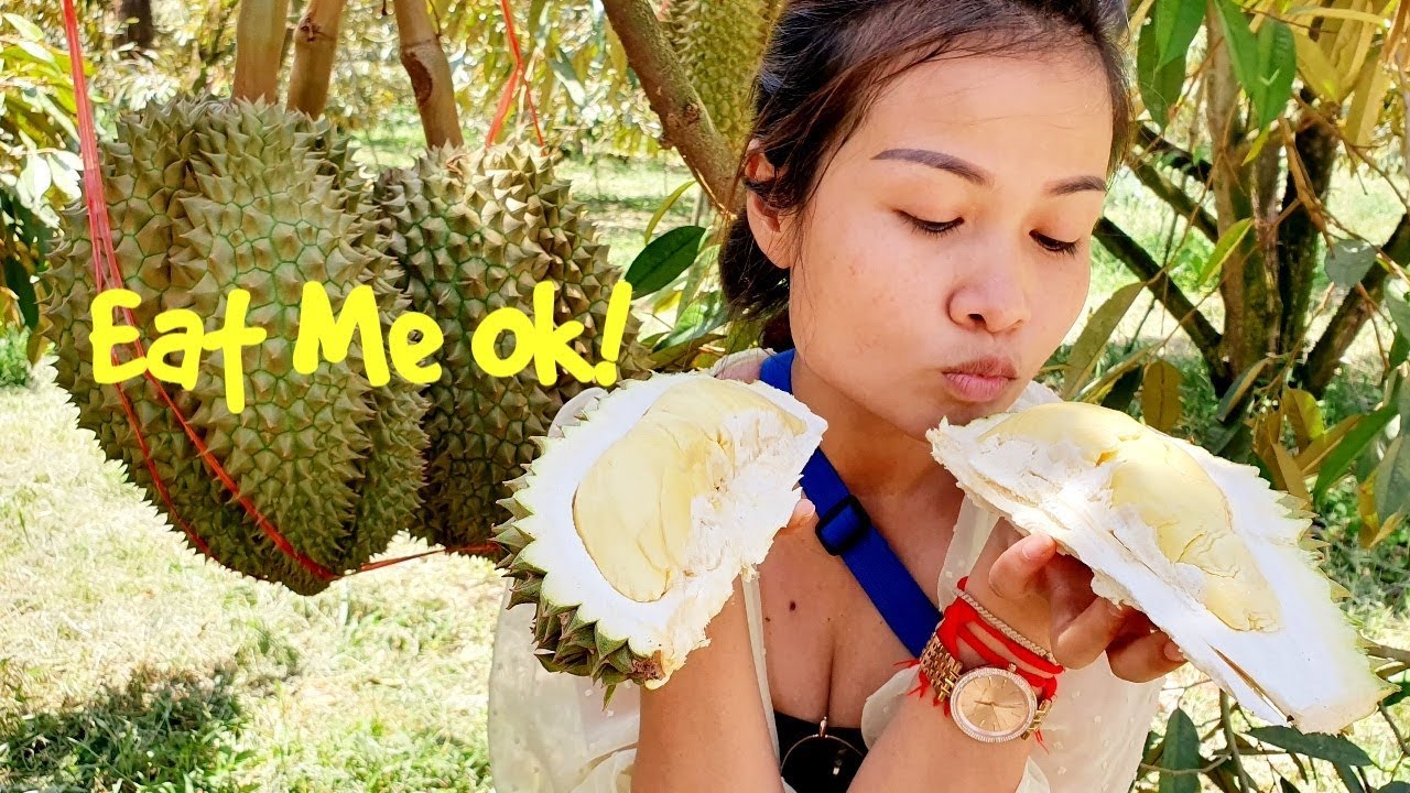 ASMR Fresh Durian Fruit Eating Sound (No Talking) | Fresh Durian ASMR Eating Show