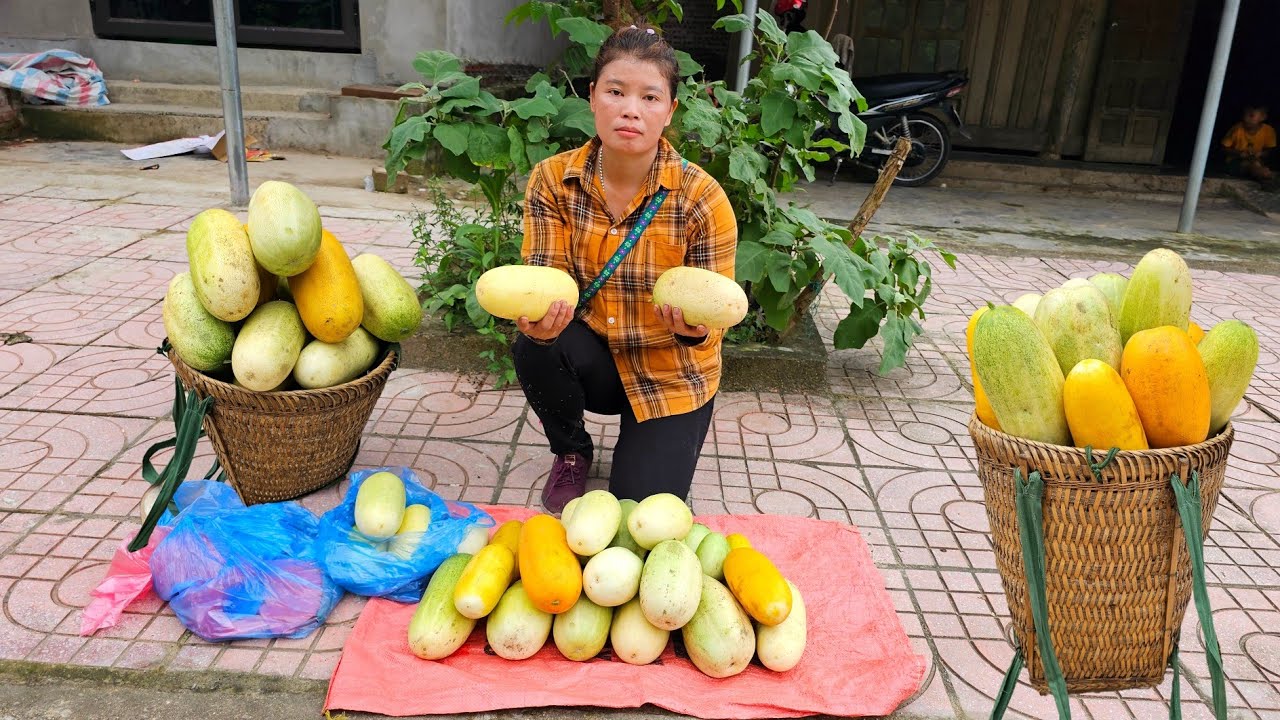 Harvesting giant melons for sale at Ly Phuc Ca village market
