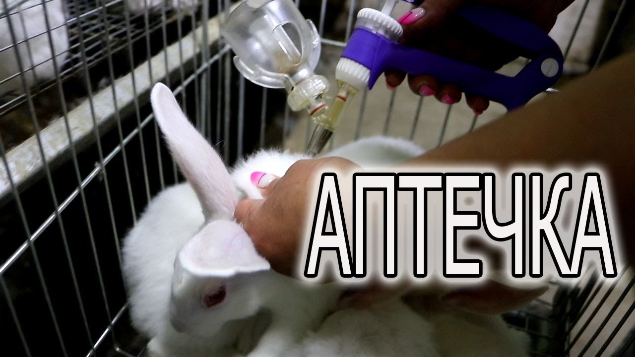 ЧЕМ ЛЕЧУ КРОЛИКОВ. МОЯ АПТЕЧКА ДЛЯ КРОЛИКОВ.