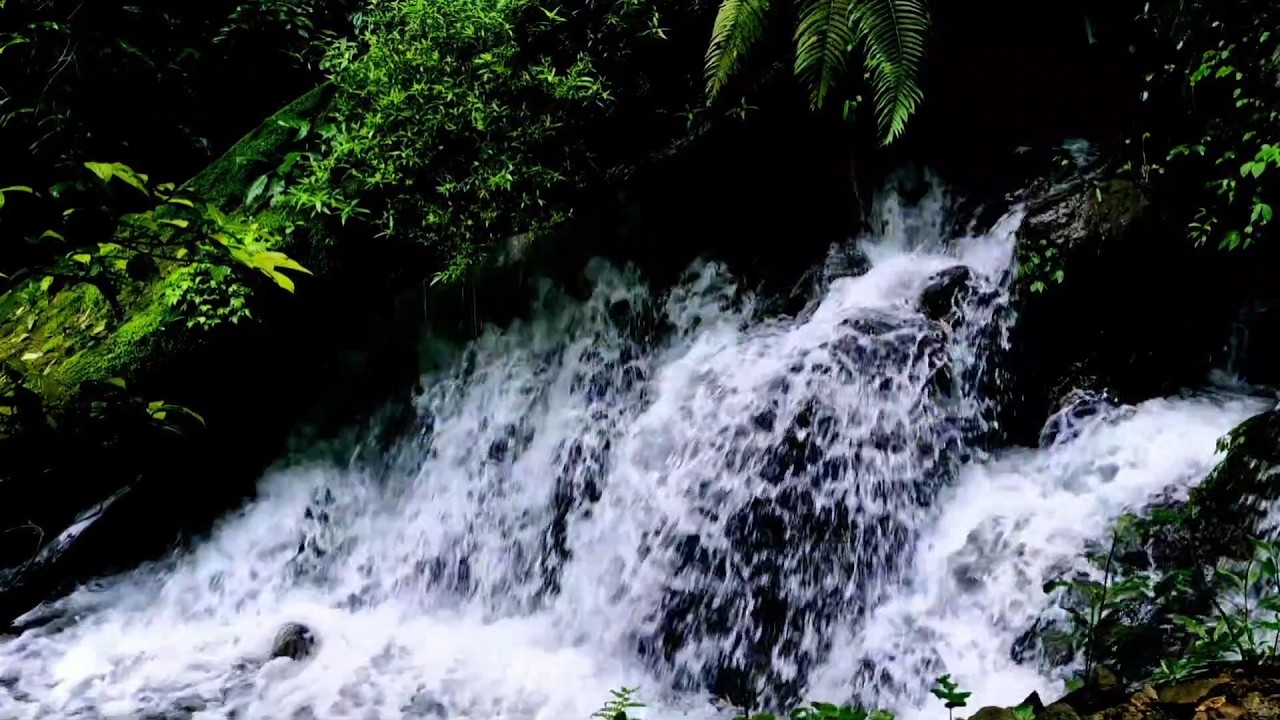 Relaxing Water Meditation  River Flow No Birds2
