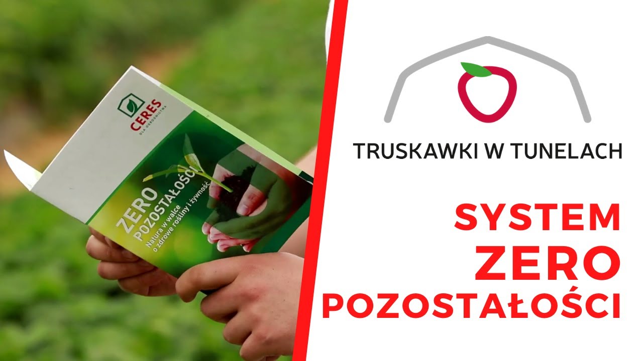 Ochrona truskawek w systemie ZERO POZOSTAŁOŚCI