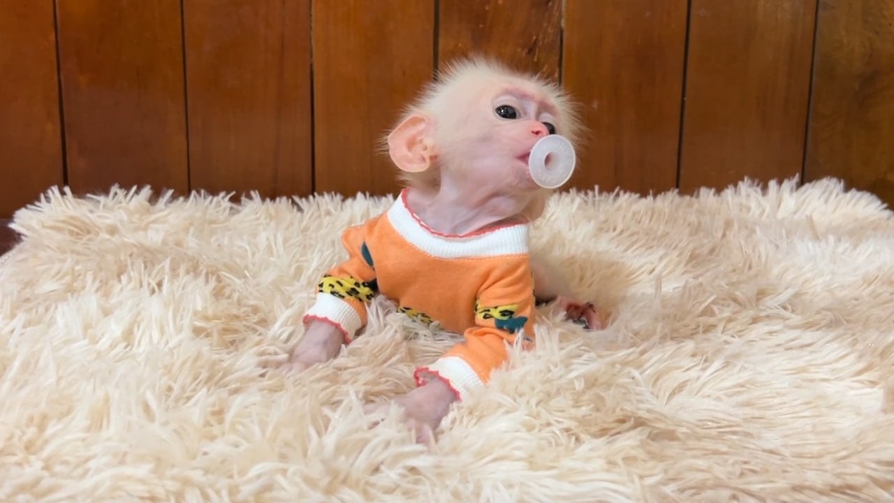 OMG Super Cute Hunni Minea Using Tiny Pacifier Until Falling A Sleep