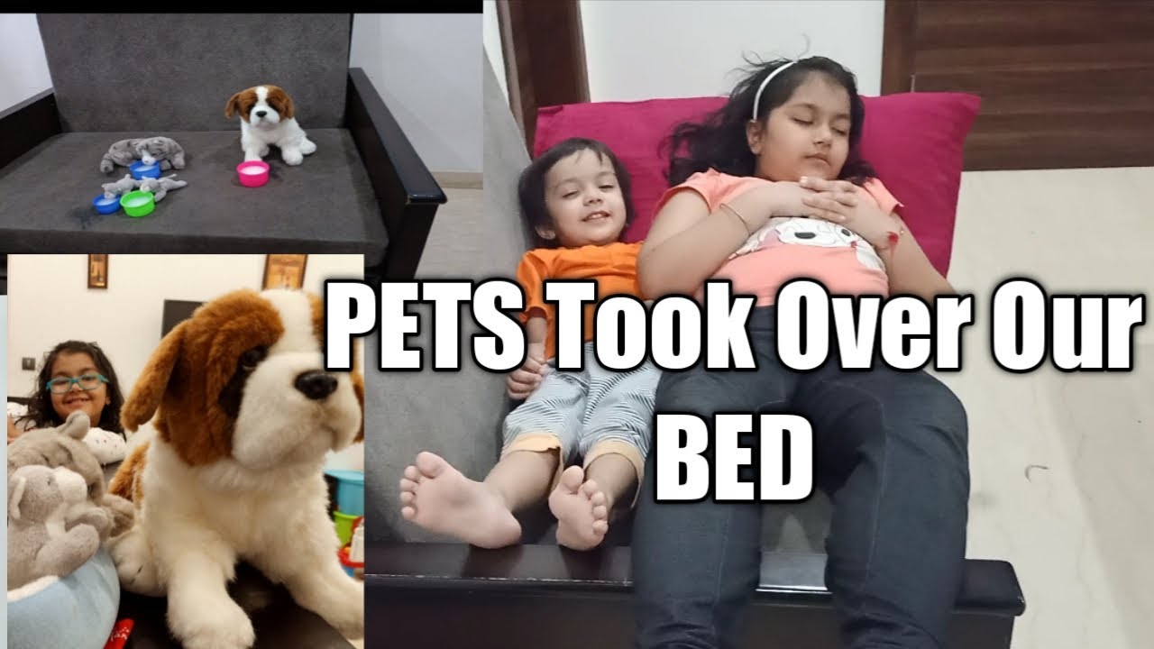 New Guest at Home | Pets Took Over our BED | Children new Pets | New Pets Fizzy FamBam | TukTuk