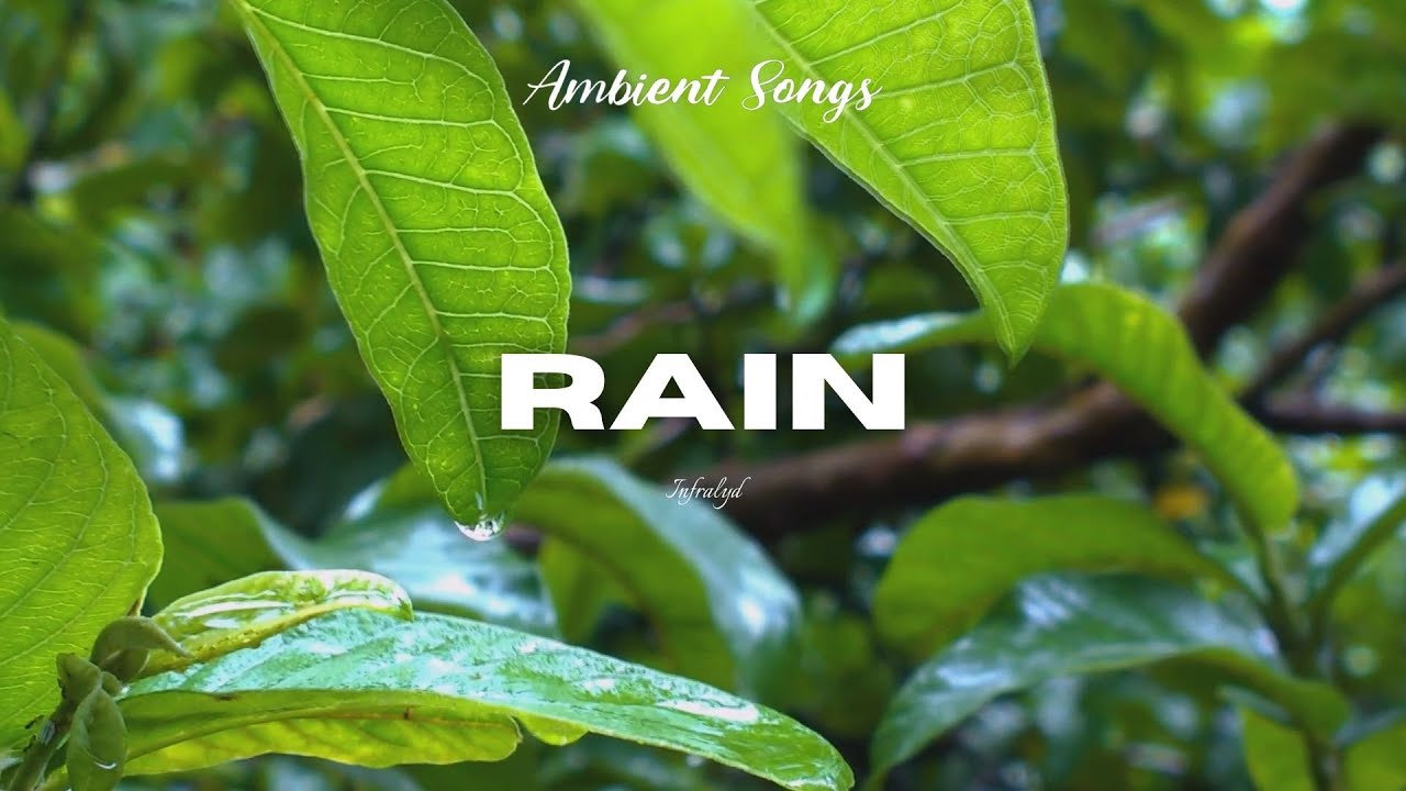 Rain - Infralyd (Music Video)