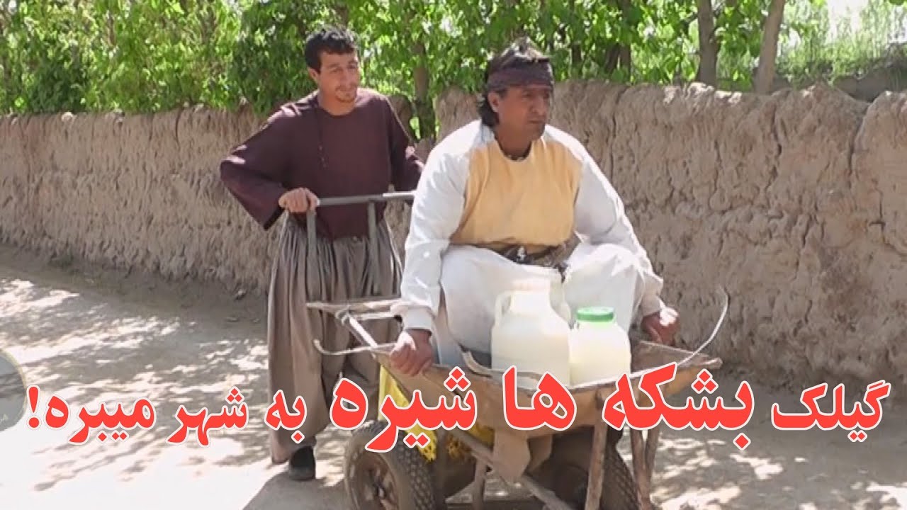 گیلک بشکه ها شیره به شهر میبره
