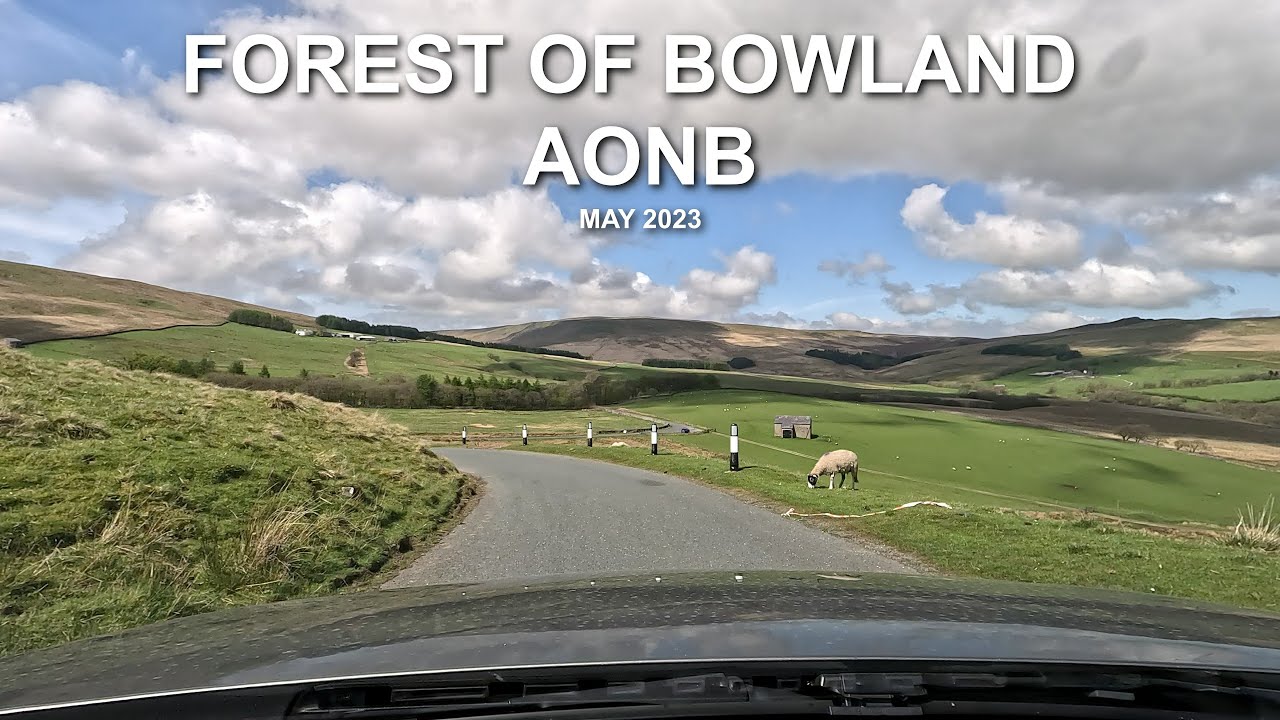 FOREST OF BOWLAND AONB | Timelapse | 2023 | 4K