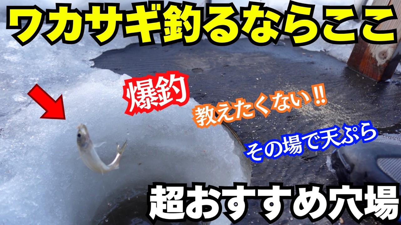 【北海道】ワカサギ釣るならココ！！本当は教えたくない穴場！