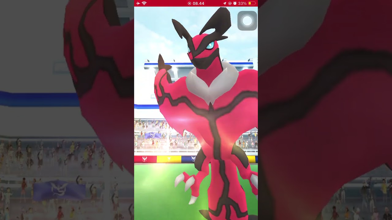 raid yveltal